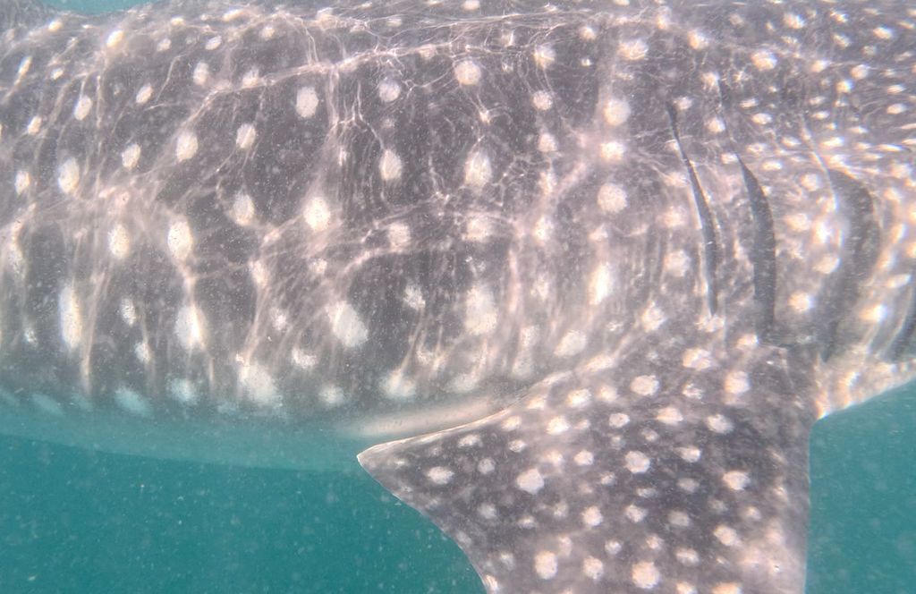 3e34d02a-2c45-4301-984b-29c1ecaf7bdc