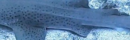 b7ead597-013e-41b1-bd2e-8f70cd7436de