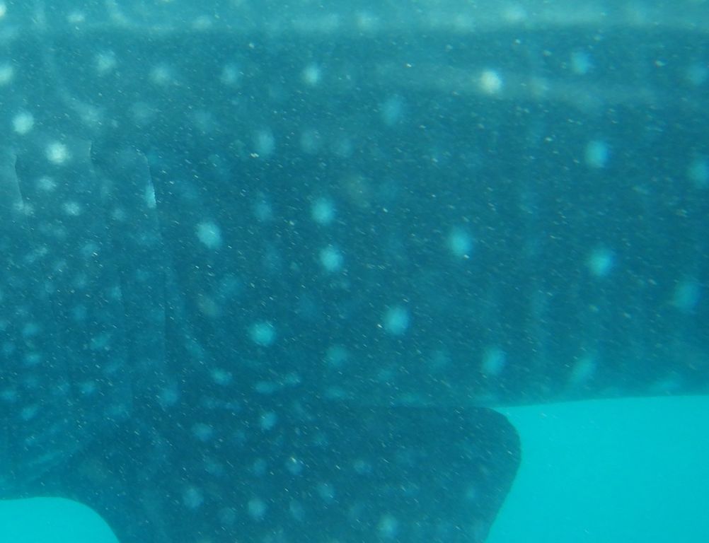 c5bc5673-466e-4fb4-b84c-e4f7d429b8c1