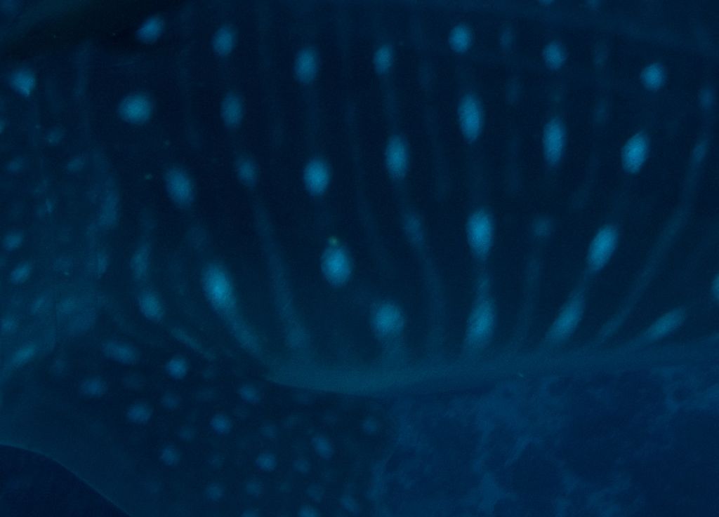 1ac0158e-c9b3-4693-979a-60995f27c4c0