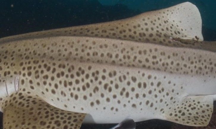 561242db-c3f9-47db-b3aa-8610cc38c12f