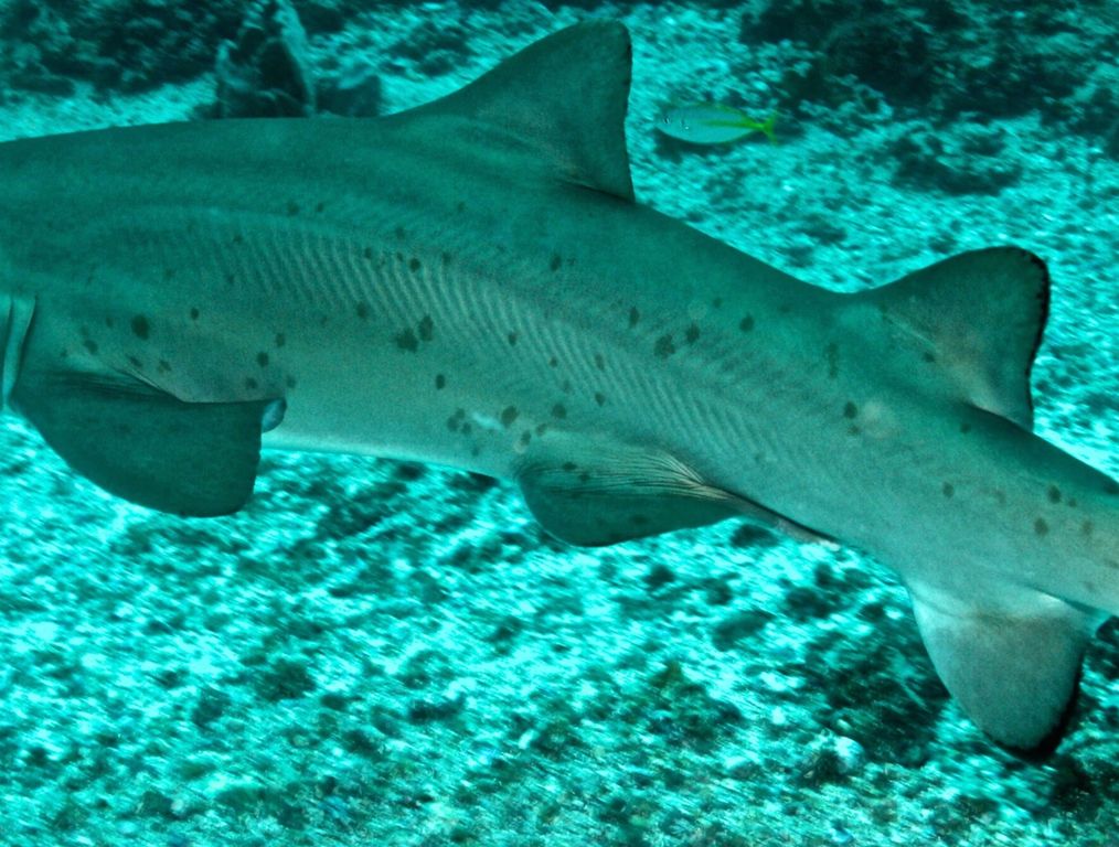 22e7dd25-2354-469b-9bb2-5d40d49fca8e