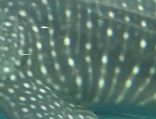 0a8c5ac1-4e89-47a7-b978-627eb9ea48e0