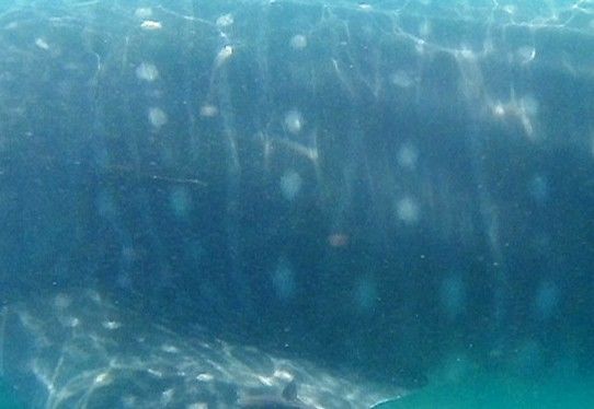 574f9d8a-b3e6-497e-b847-fa486a5e5a4b