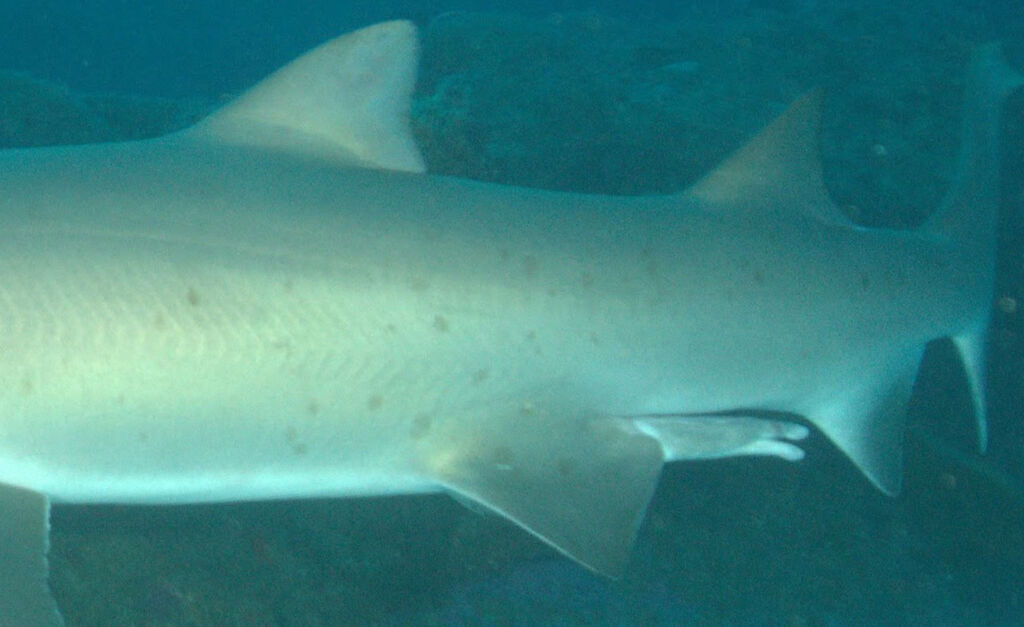 e2105cd8-3568-4c57-8503-7ac148d4ffdd