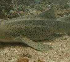 cfb211aa-67bd-42d3-ab31-01ebf298a425