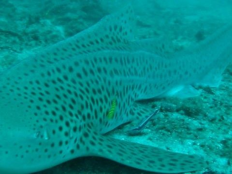 cd17e64f-c4d5-4087-9689-1dc458a2a9c1