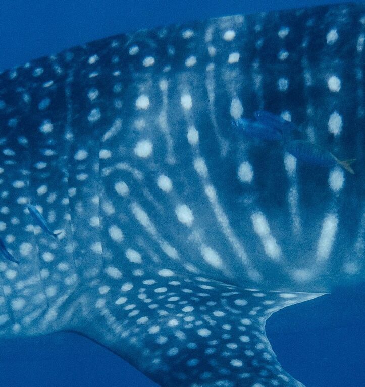 b0cb685e-aa9c-4666-ae64-bb85d167e80f