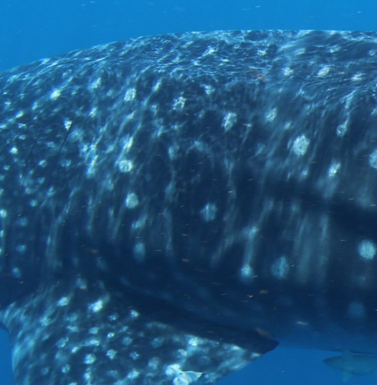 3240dd71-a67c-4e42-95cc-e166750a3264