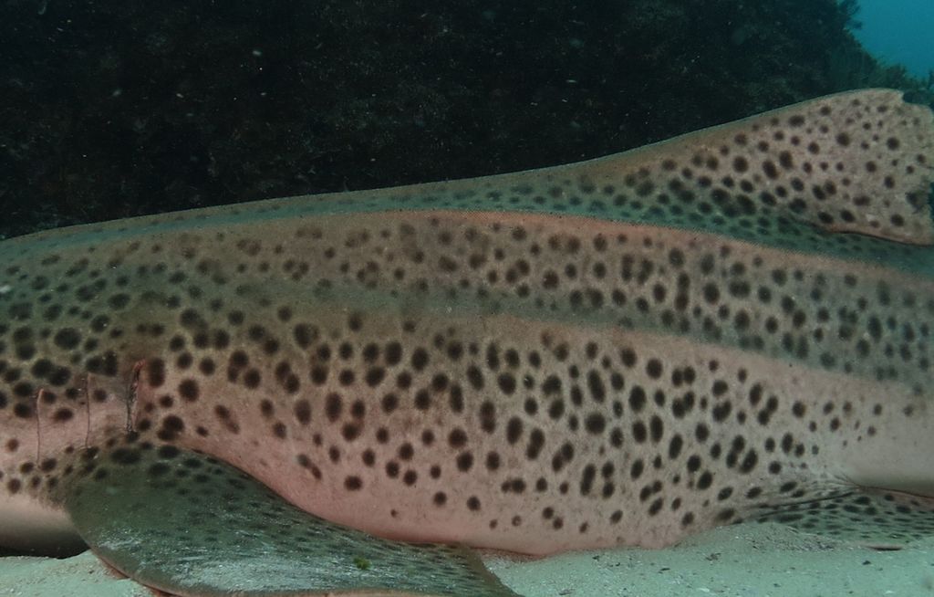 edbf7458-f1c6-424f-a2e9-d15ef91d76bd