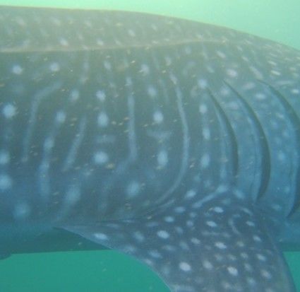 202b9247-7b99-4ea0-b1c9-da3228c1c174