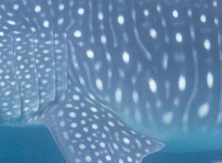 d012cc99-f664-476a-bb89-c201847119b5