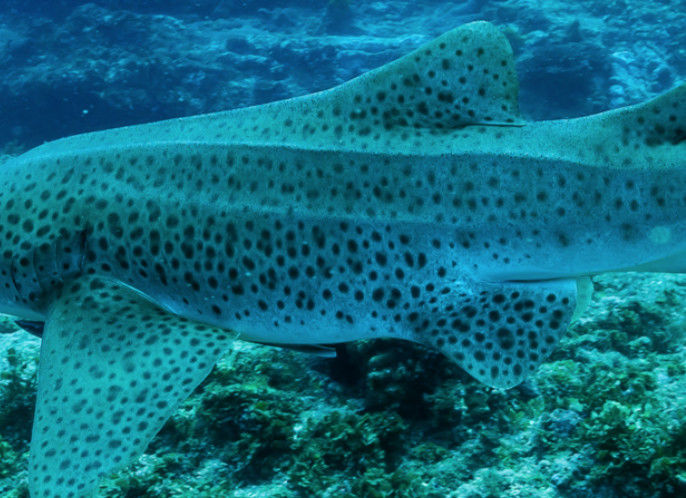 2596df15-75be-44df-b898-cb9d4dc47569