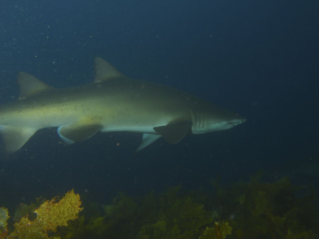 c7b89de9-7e1e-422c-b7bc-cbe65d0d819a