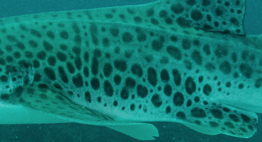 2c627c72-fb02-4b39-8b0e-5a569af7a169