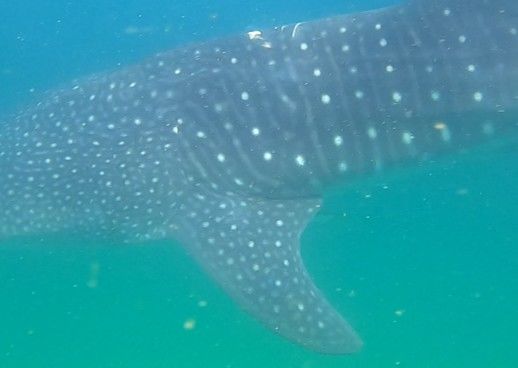 5141dbb6-4f6a-417e-be45-54372b276cff