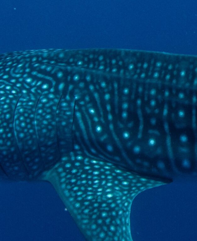 ddc76a90-e50d-48ba-869b-b72c2b22847c