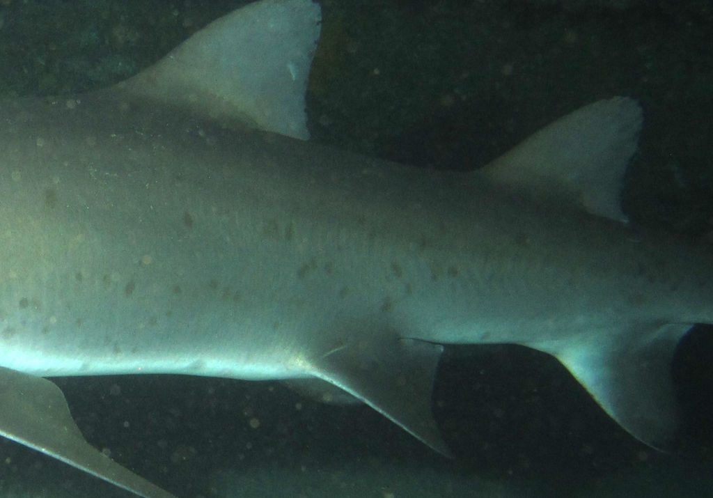 6106e937-07aa-44cc-89ab-bf498db3b768