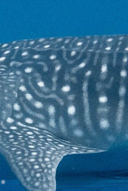 496e5fab-3a5c-4761-8f81-2eab4cfa22df