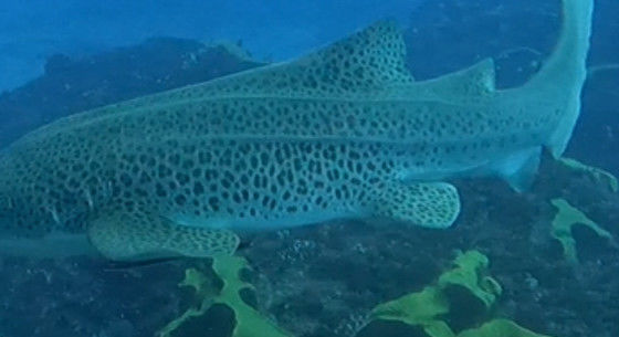 16a268de-b5ea-4dc1-96e8-4247635d0380