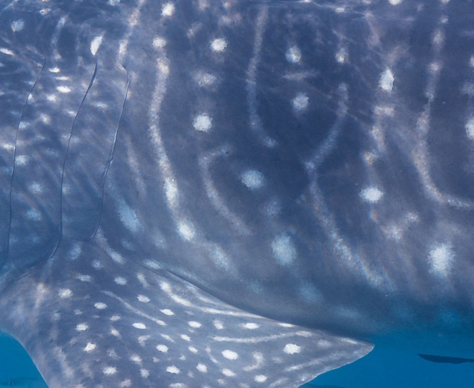 100c2eec-e34b-4387-aca9-0fd220382f7d