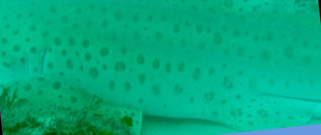 8f3a8ee5-60f6-437c-b2e3-5528e70e8b9a