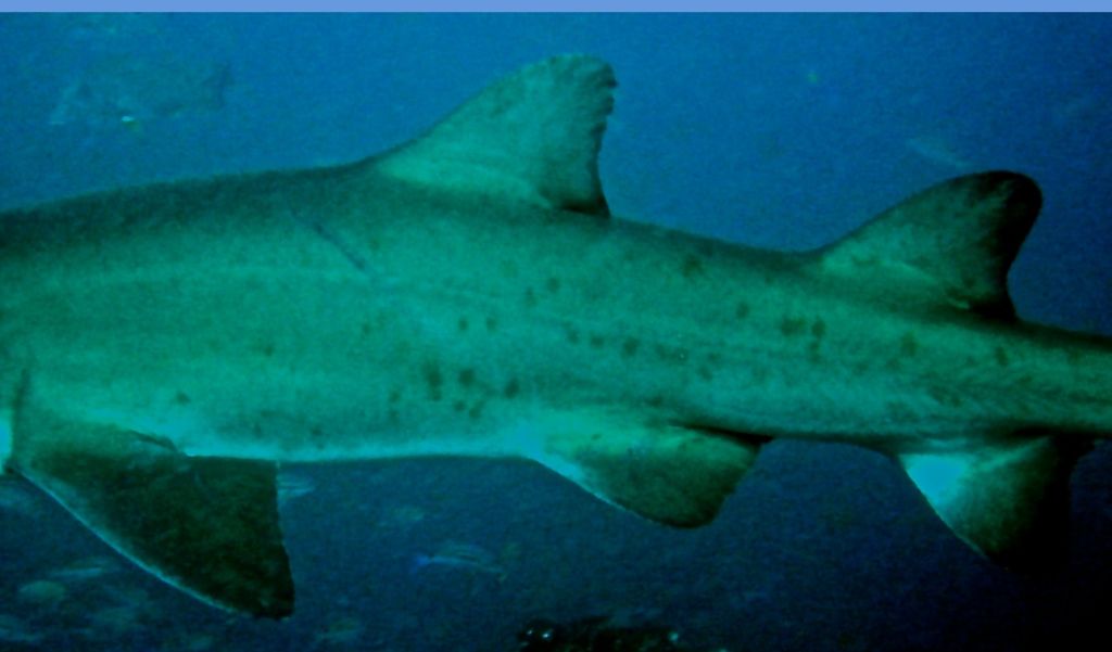 8879feaf-b98a-4db6-8554-0d60f5674466