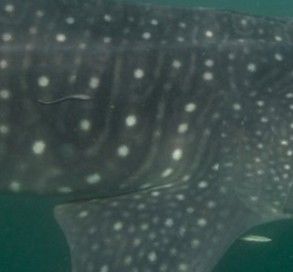 3e522a6a-9238-4db7-b594-1b83504c2450