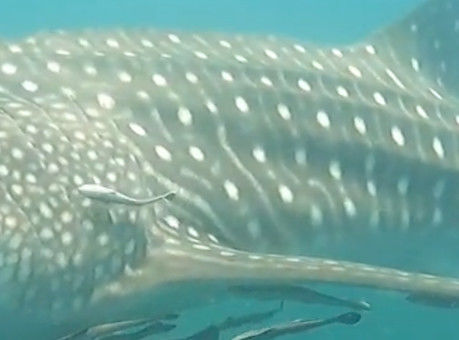 6e0d4311-0185-4c49-bee4-d87ce05864bd