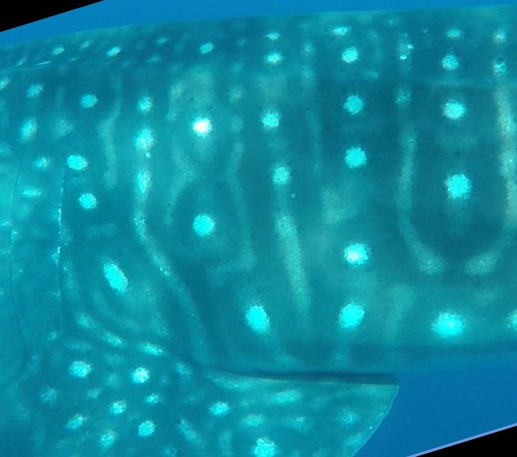 11b9084f-3453-45a7-b077-fd767118e779