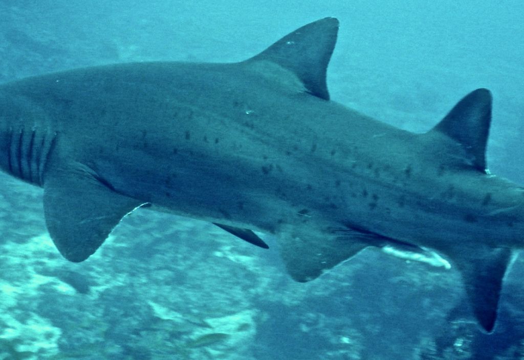 0285ee95-d54a-441c-9e16-d46d84dc98eb