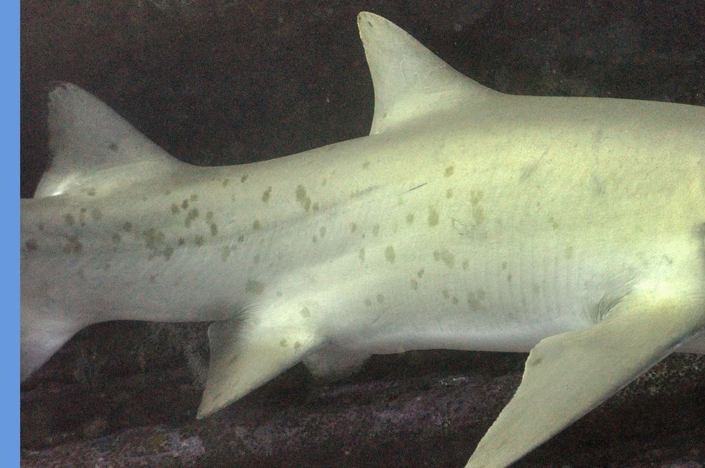 ecd3ac04-5426-44a0-b396-de906786621f