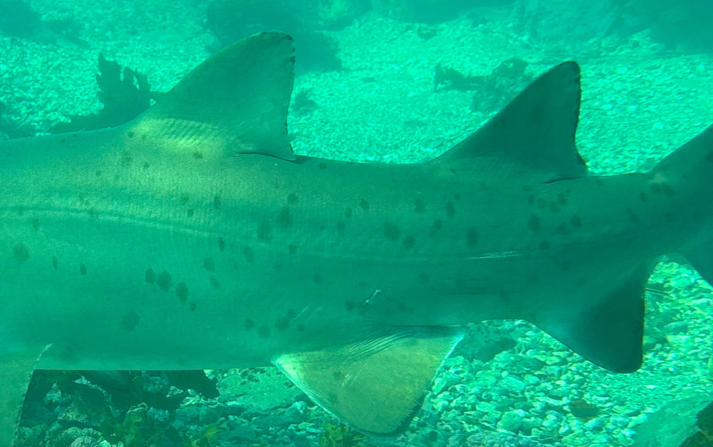 e240a332-5198-48c7-9a95-f5a84b40d058