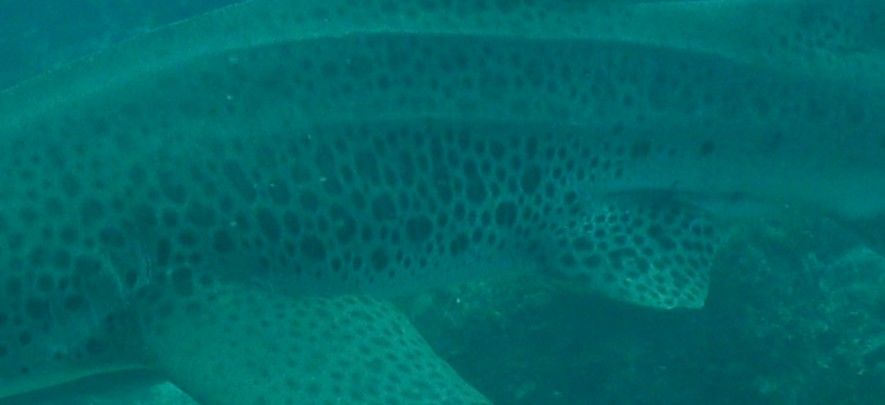 4eb757b3-ac46-422b-b722-bfe8c3e19717