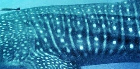 e451bef3-7813-42d5-80f2-73c3058c89fd