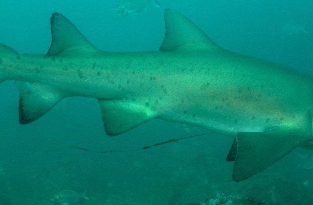 6f48d1c2-5870-4832-a177-a02ae62b2bac