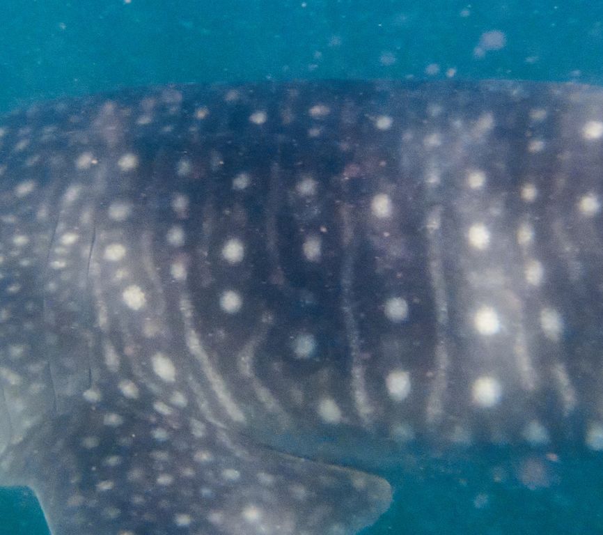 bea6ad4a-d528-4d50-939f-9651626160ac