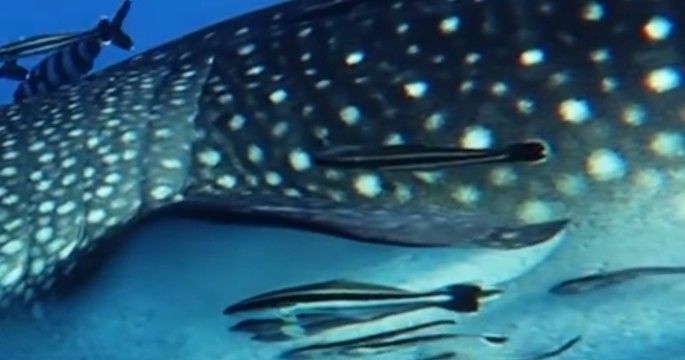 8a0c3841-dd8e-4af8-b0da-efe3c6fccbca