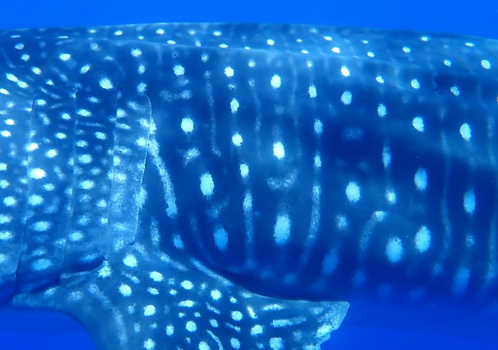 d7d12224-0b91-42cb-9275-c93cfdaa9e63