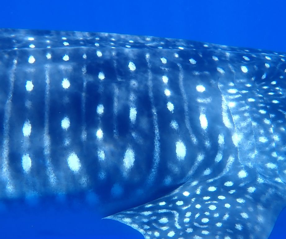 d7d12224-0b91-42cb-9275-c93cfdaa9e63