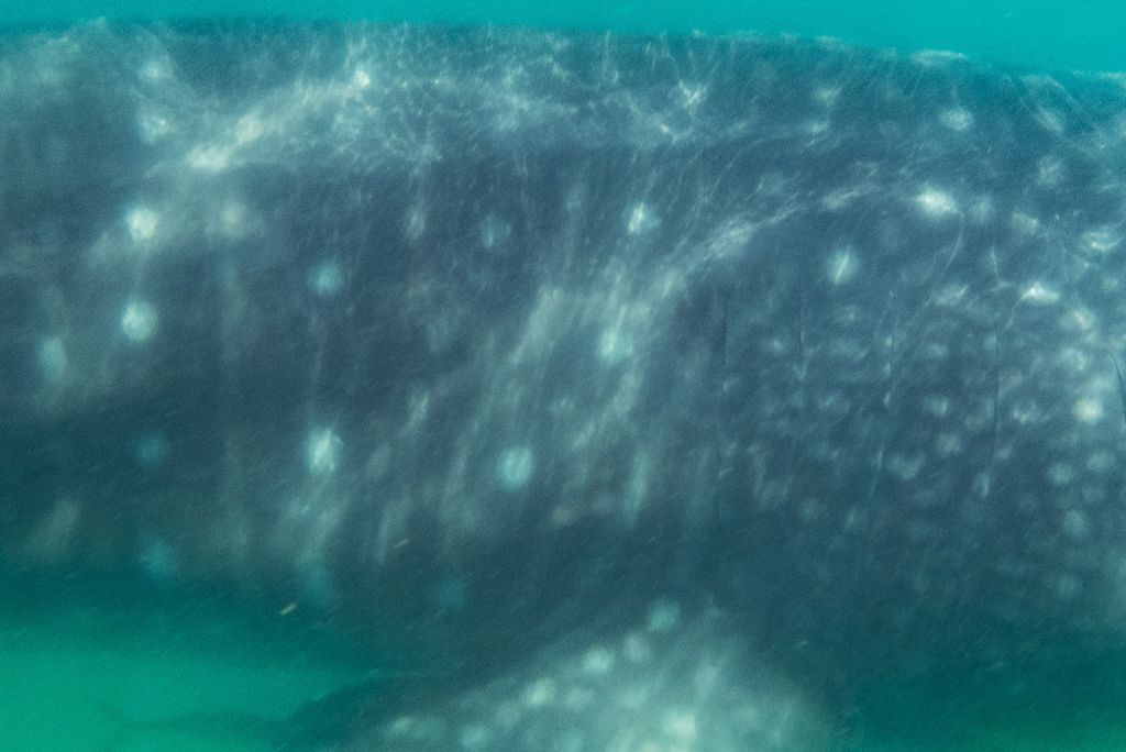 12f96c66-ef25-48bd-906a-8597d849fb7d