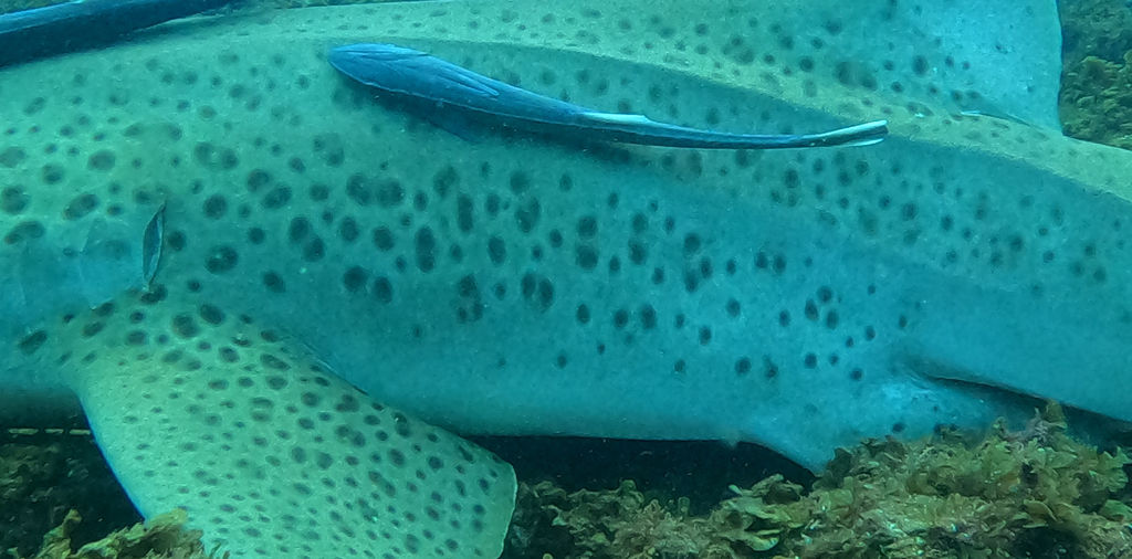 f1b2c74f-49a3-4609-8ec2-1e26f59b9bc1