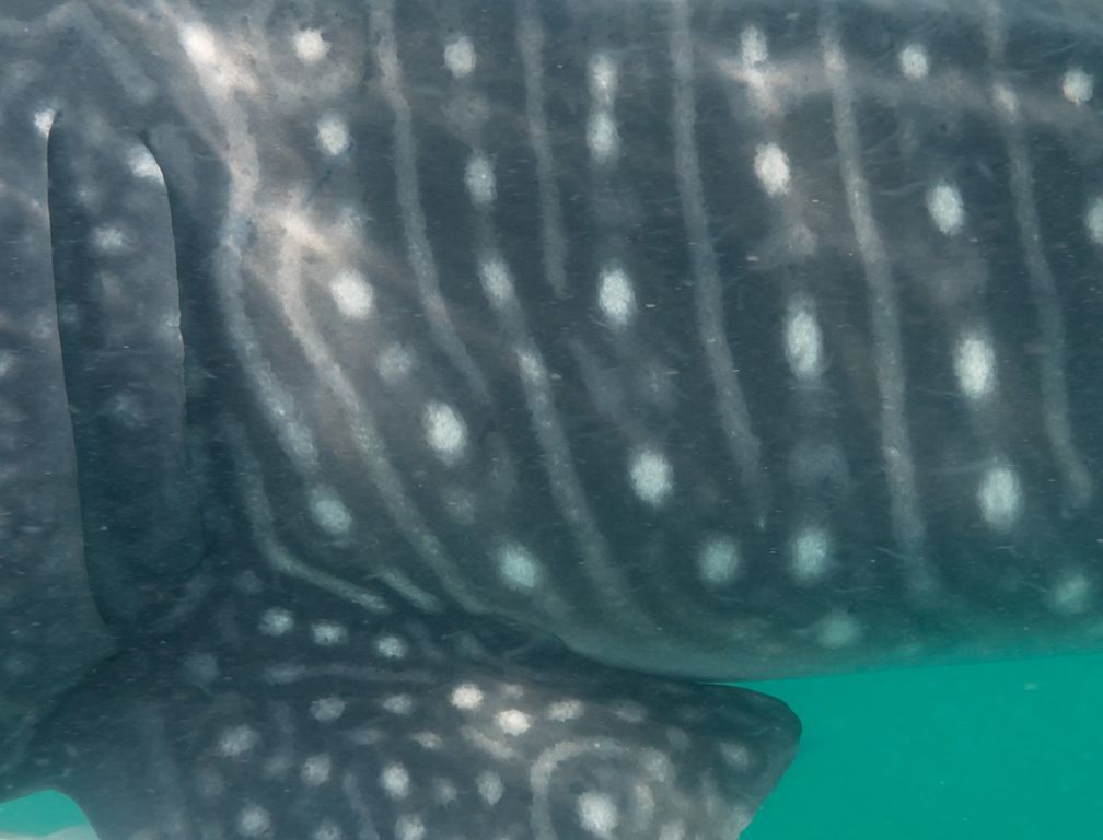 4038c20c-3264-4d79-b16c-fcf8b76ab911