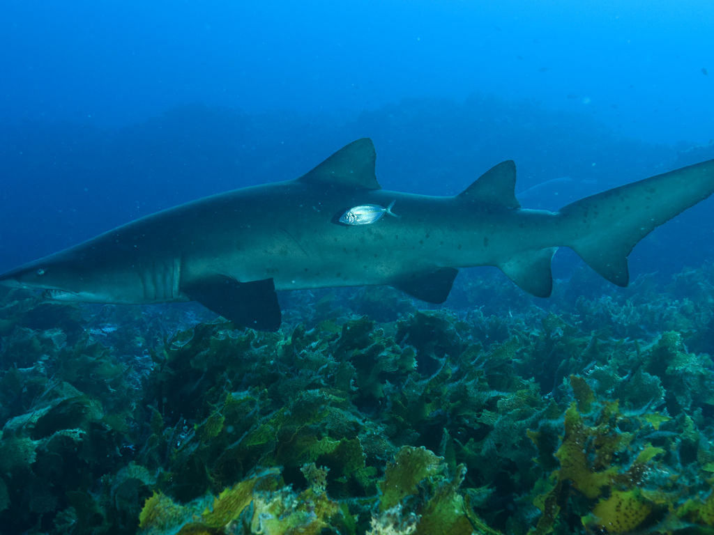 35121962-768e-4680-b666-dee4d3dda39b