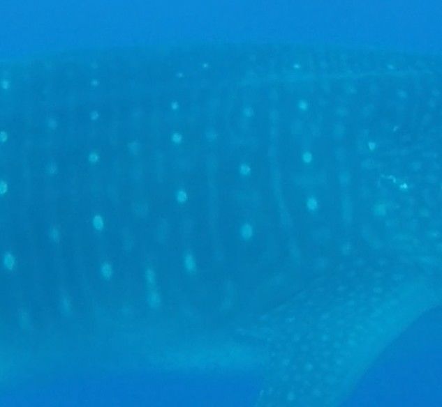 3b9ebd18-f989-401d-a6a8-4848adc11284