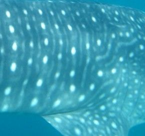 e0f23c64-2dbb-4b53-9abf-eb703e98c0ff