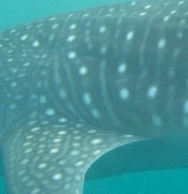 e0f23c64-2dbb-4b53-9abf-eb703e98c0ff