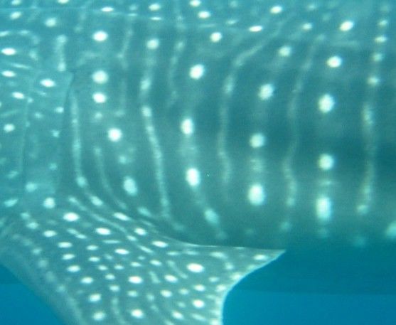 70c8cadb-5bb9-4ede-85ff-fbce1053bdbe