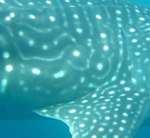 70c8cadb-5bb9-4ede-85ff-fbce1053bdbe