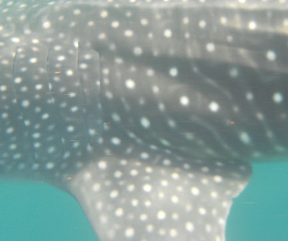 0b90efe9-1113-4831-a6dd-14776955c7aa